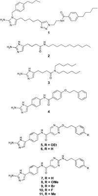 A Small Molecule-Screening Pipeline to Evaluate the Therapeutic Potential of 2-Aminoimidazole Molecules Against Clostridium difficile